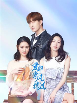 爱的季风掠过(全集)