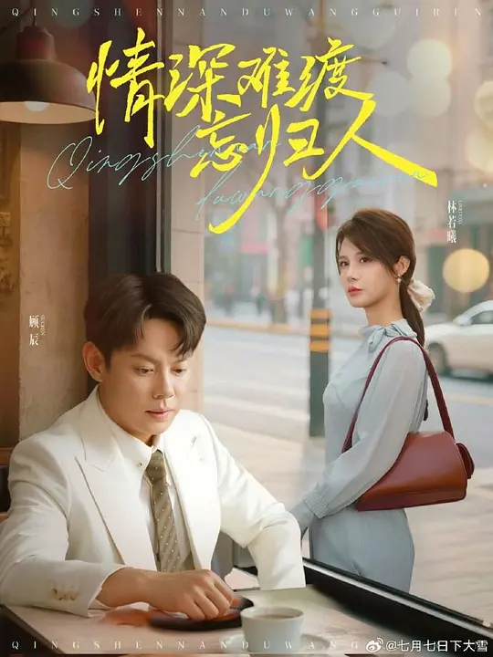 情深难渡忘归人(全集)