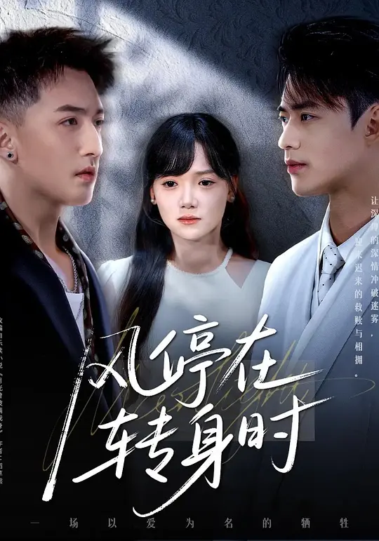 风停在转身时(全集)