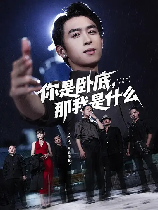 你是卧底，那我是什么(全集)