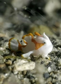 ：海底世界(全集)