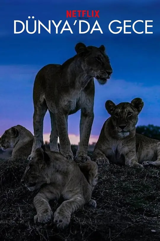 地球的夜晚(全集)