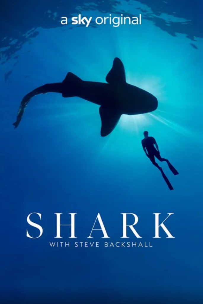 与鲨共舞 第一季(全集)