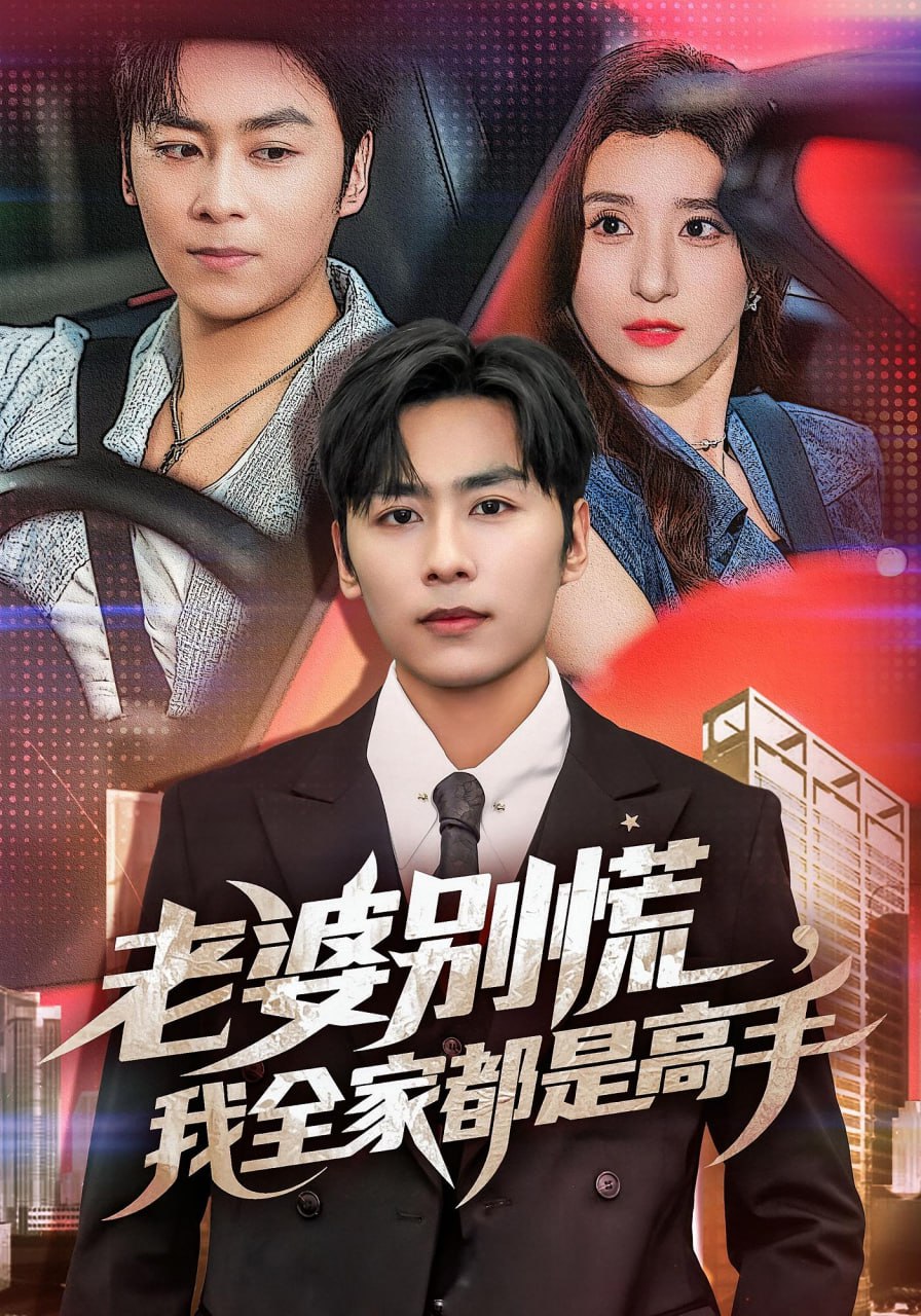 老婆别慌我全家都是高手(全集)