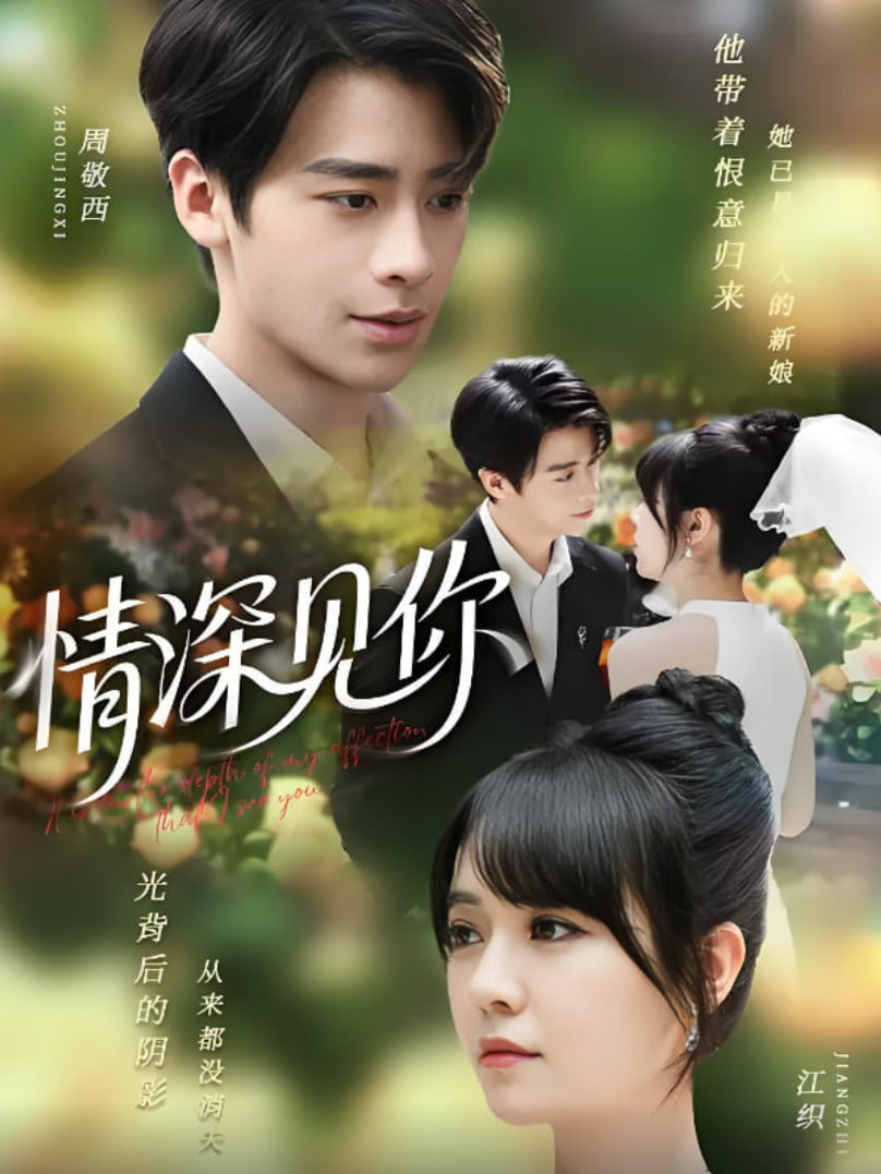 情深见你(全集)
