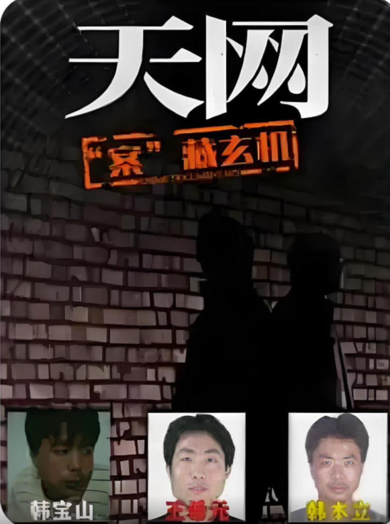 天网：“案”藏玄机(全集)