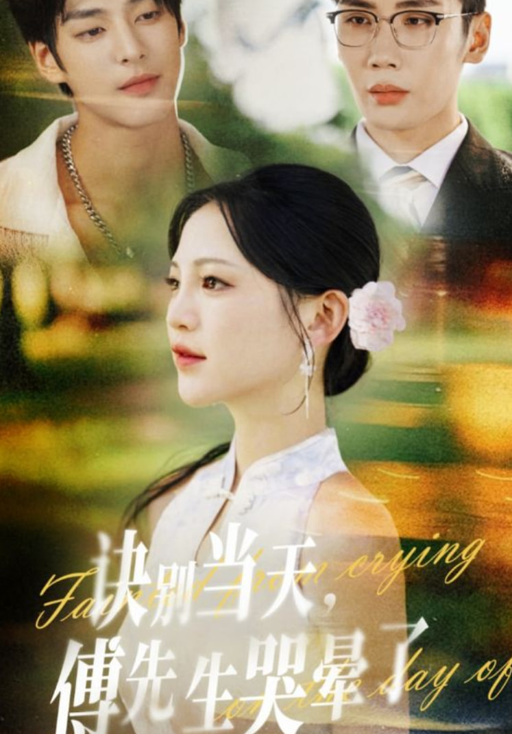 诀别当天傅先生哭晕了(全集)