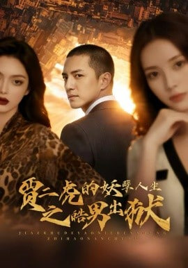 贾二虎的妖孽人生之皓男出狱(全集)