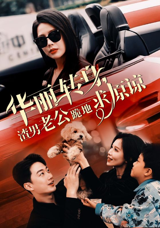 丽转身渣男老公跪地求原谅(全集)