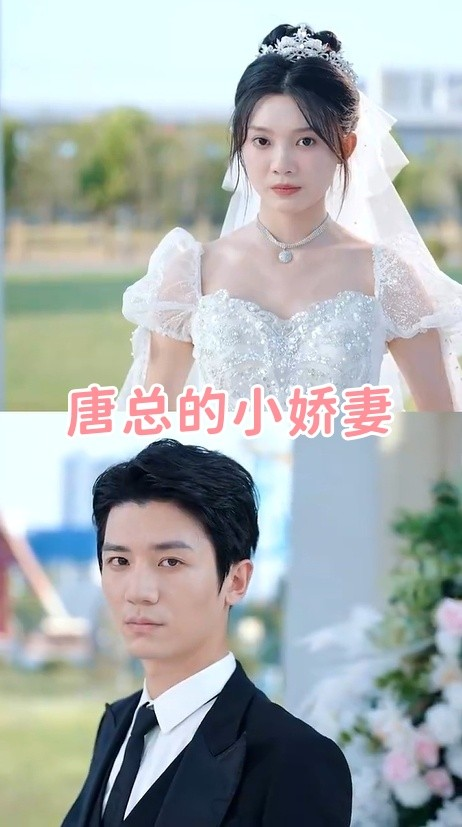 唐总的小娇妻(全集)