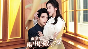 重逢傅总红了眼雨中卑微示爱(全集)