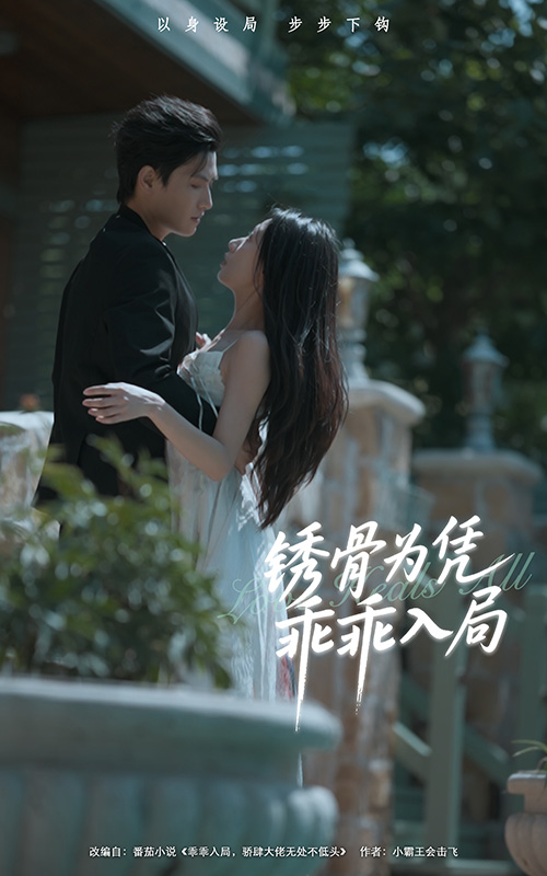 锈骨为凭乖乖入局(全集)