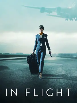 飞航奔逃(全集)