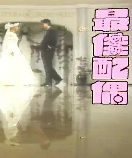 最佳配偶(全集)