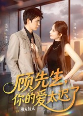 顾先生你的爱太迟了(全集)
