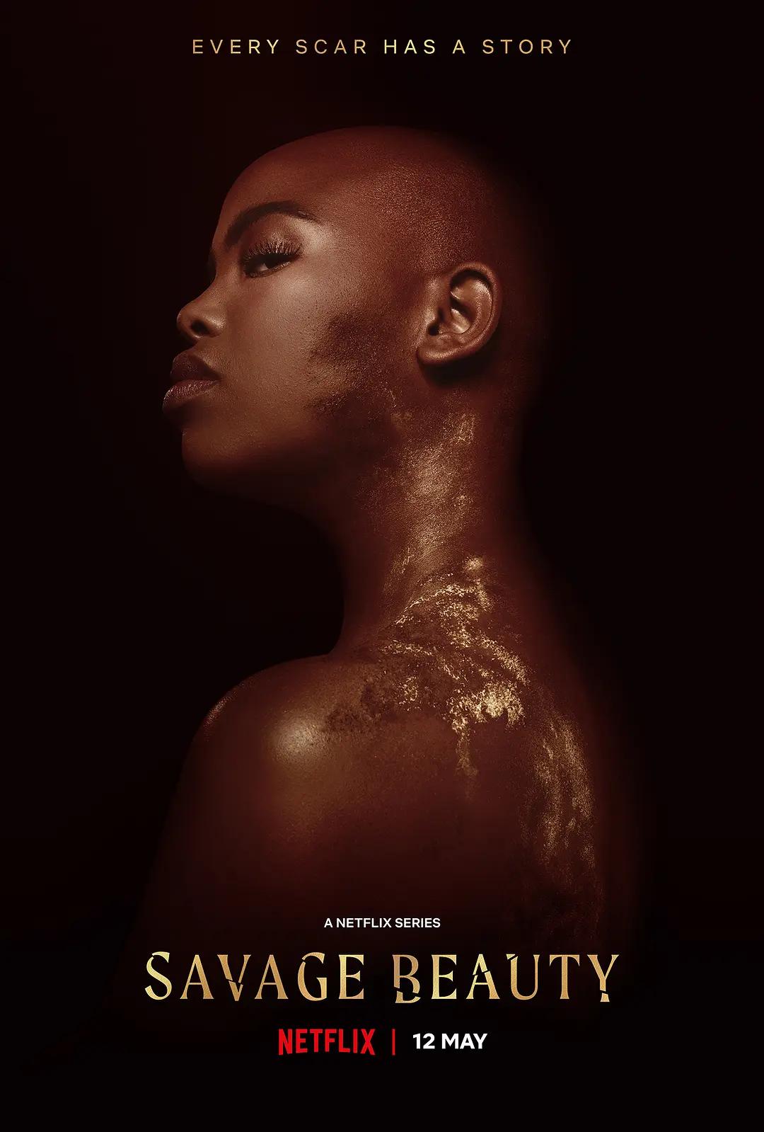 美丽破坏者第一季(全集)