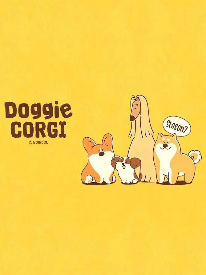 柯基和伙伴的日常第二季(全集)