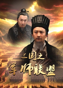 三国之军师联盟(全集)