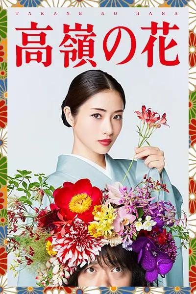 高岭之花2018(全集)