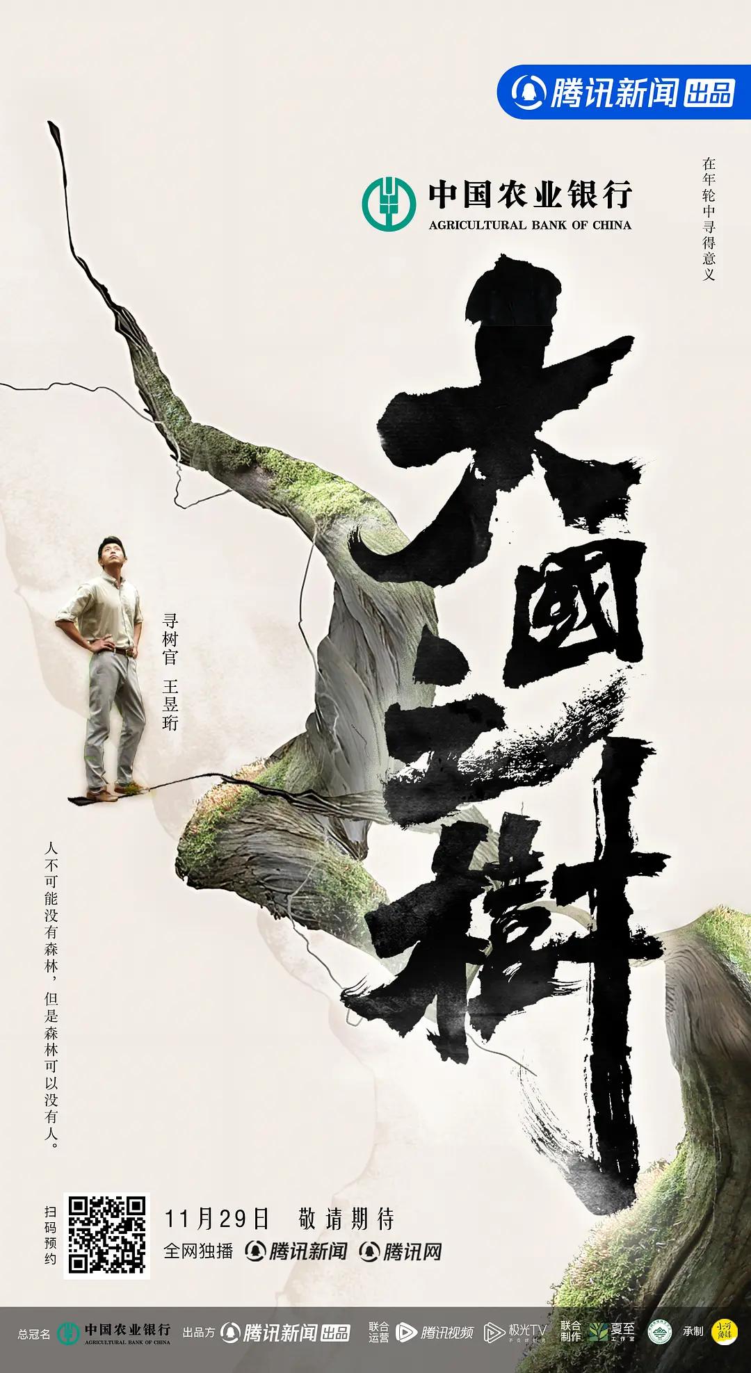 大国之树(全集)