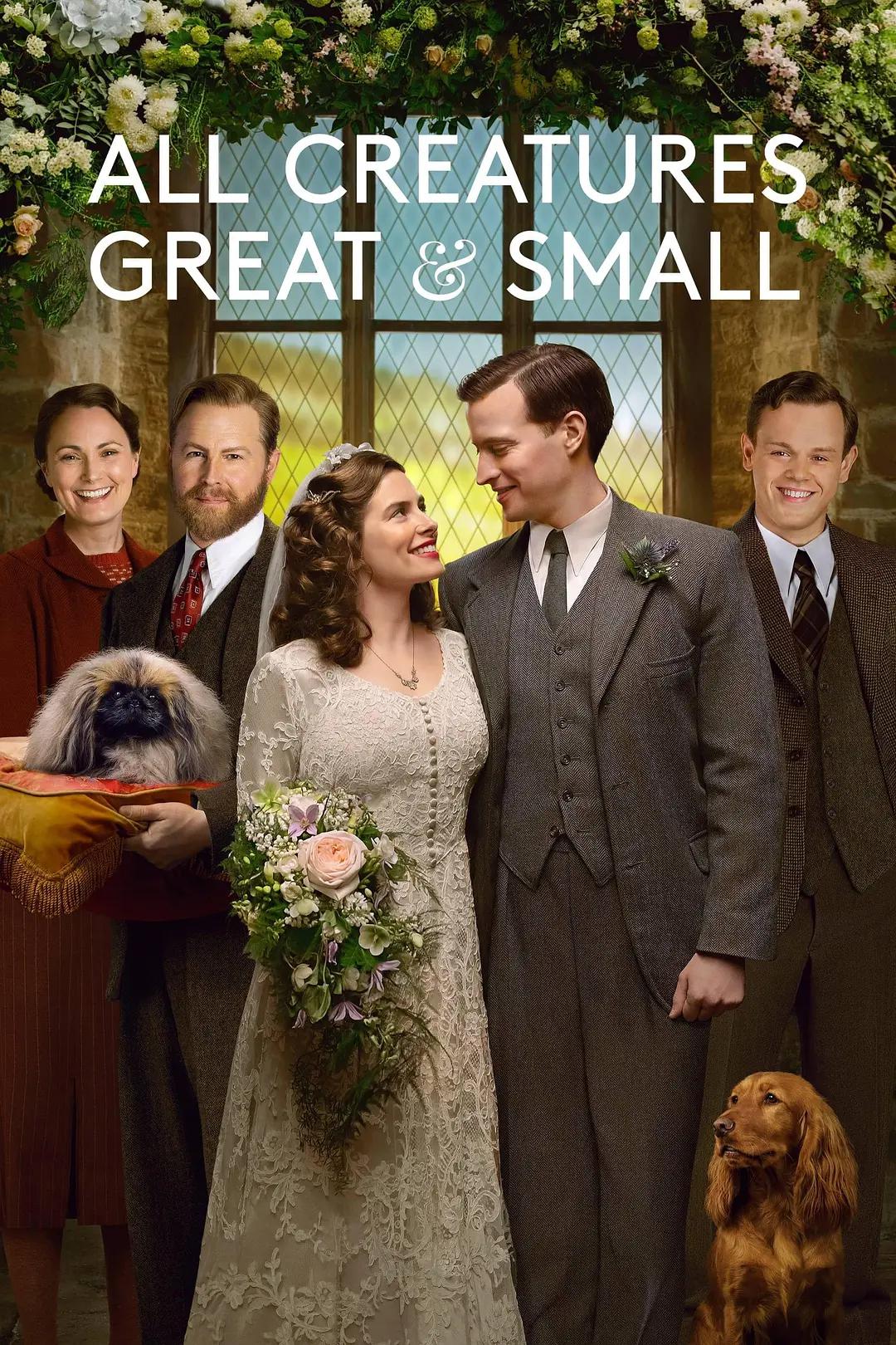 万物生灵第三季(全集)