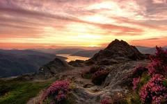 应该靠自己(全集)