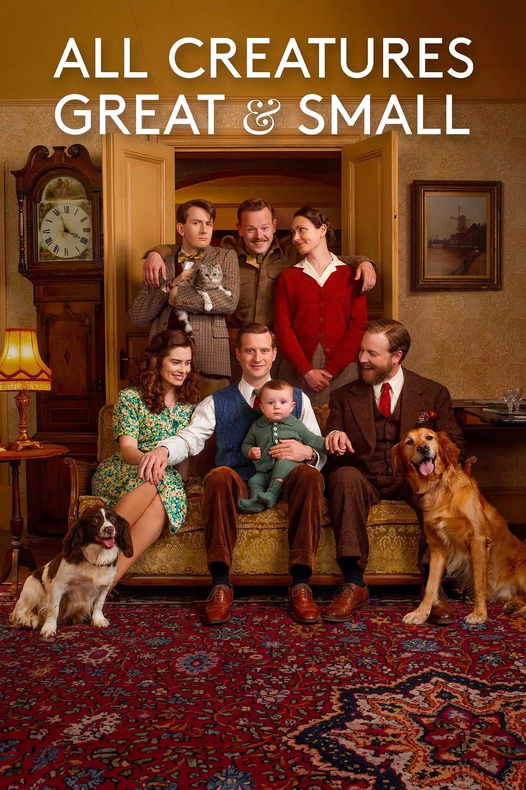 万物生灵第五季(全集)