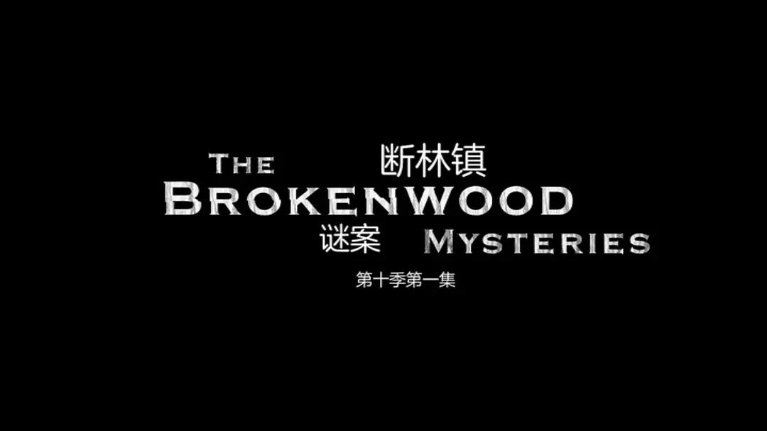 断林镇谜案第十季(全集)